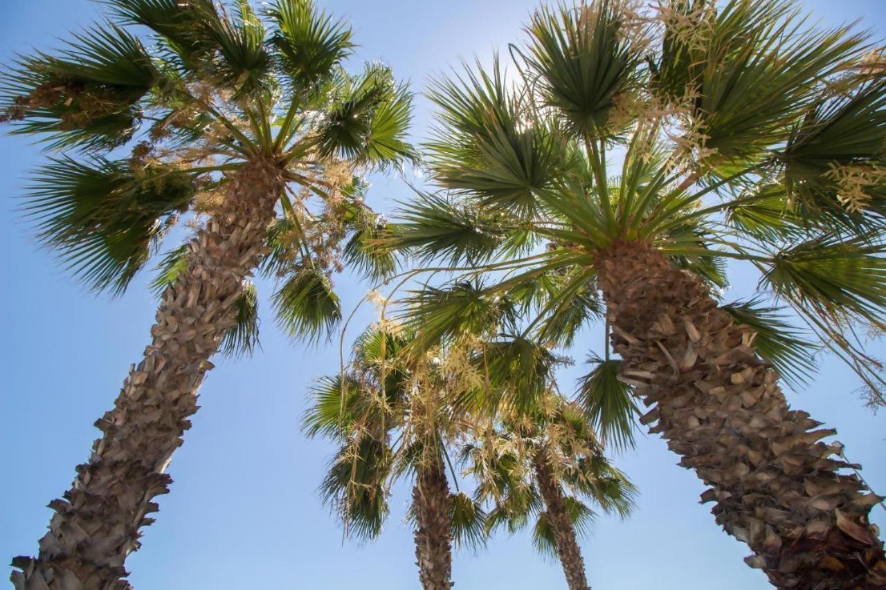 Fabuloso Apartamento A 50M De Playa Centrico Torre Del Mar Kültér fotó